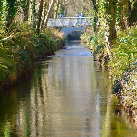 Cappavilla Village Castletroy Ireland